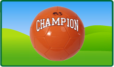 Voetbal 