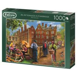 Falcon Afternoon in Cambridge (1000) 