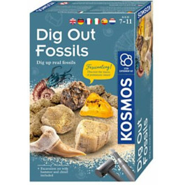 Kosmos Fossielen Uithakken
