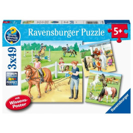 Ravensburger - Een dag op de manege (3x49)