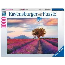 Ravensburger - Lavendel velden (1000)