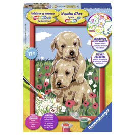 Ravensburger - Schilderen op nummer - Knuffelende puppies