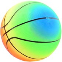 Regenboog Basketbal 25 cm (niet opgeblazen)