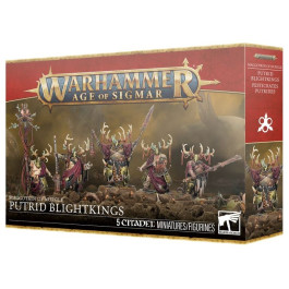 Warhammer Age of Sigmar - Maggotkin of Nurgle - Putrid Blightkings (83-28)