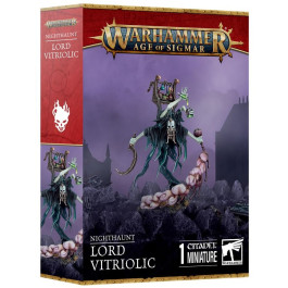 Warhammer Age of Sigmar - Nighthaunt - Lord Vitriolic (91-81)