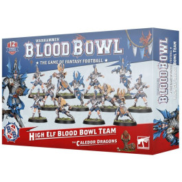 Warhammer Blood Bowl - High Elf Blood Bowl Team: The Caledor Dragons (202-62)