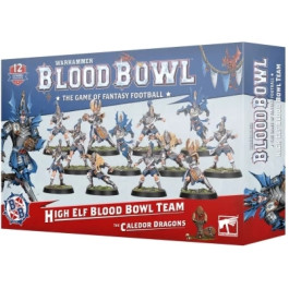 Warhammer Bloodbowl - Dark Elf Blood Bowl Team – Naggaroth Nightmares (200-54)