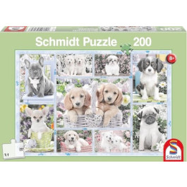 Schmidt - Puppies (200) - Puzzel