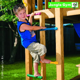 Jungle Gym 1-Step Module