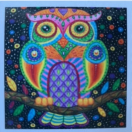 Diamond Painting - (30x30cm) - kleurrijke uil