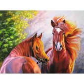 Diamond Painting - (50x40cm) - Paard 