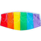 Eagle Regenboog Vlieger 80cm