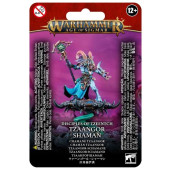 Warhammer Age of Sigmar - Disciples of Tzeentch - Tzaangor Shaman (83-76)