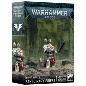 Warhammer 40K - Blood Angels - Sanguinary Priest (41-48)