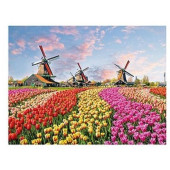 Diamond Painting - (30x40cm) - Bloembollen