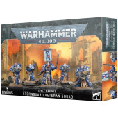 Warhammer 40K – Space Marines - Sternguard Veteran Squad (48-49)