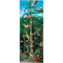 Melissa & Doug - Vloerpuzzel Rain Forest (100)