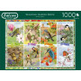 Falcon Garden Birds (1000)