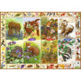 Falcon Seasonal Wildlife (1000)