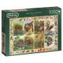 Falcon Seasonal Wildlife (1000)