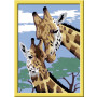 Ravensburger - Schilderen op nummer - Giraffen