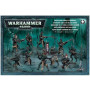 Warhammer 40K - Drukhari - Kabalite Warriors